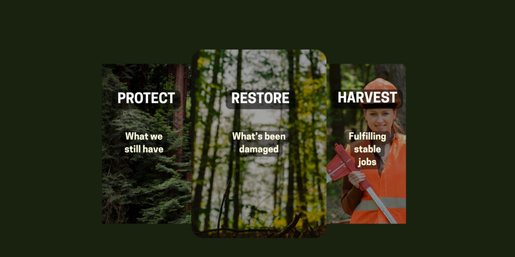 protect restore harvest model of forest management under the new forest act