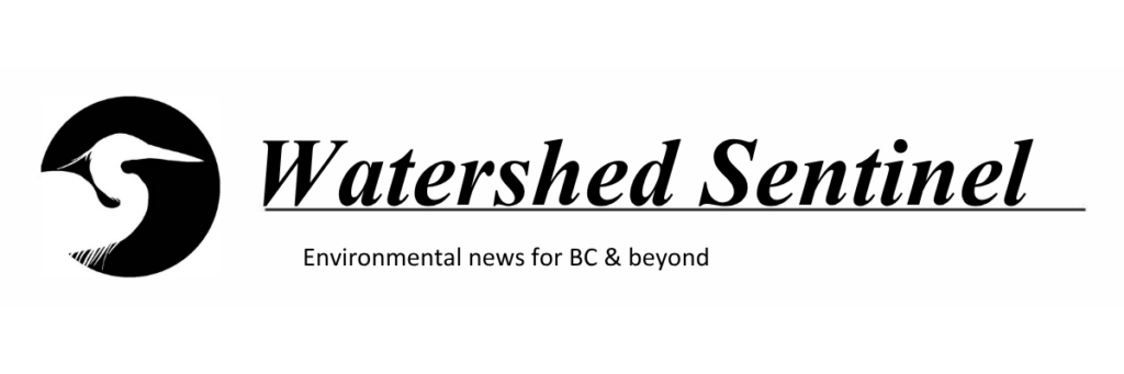 watershed sentinel logo for new forest act event